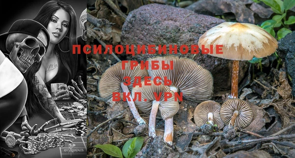 эйфоретик Аркадак
