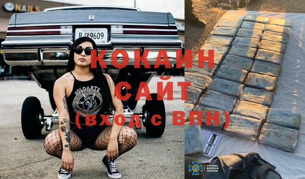 эйфоретик Аркадак